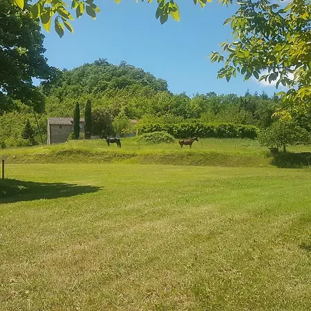 Sant' Andrea Appartement *