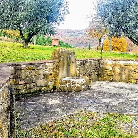 Sant' Andrea גוביו